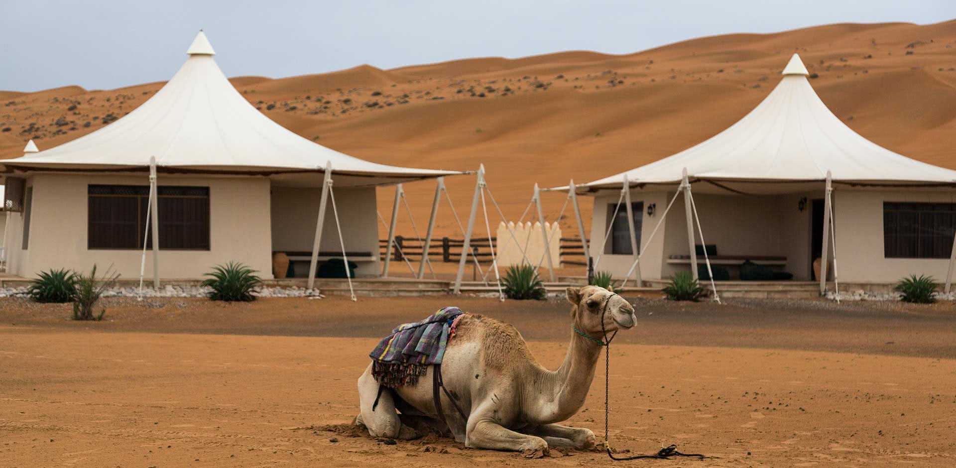 Wahiba Sands | Oman Luxury Travel | Remote Lands