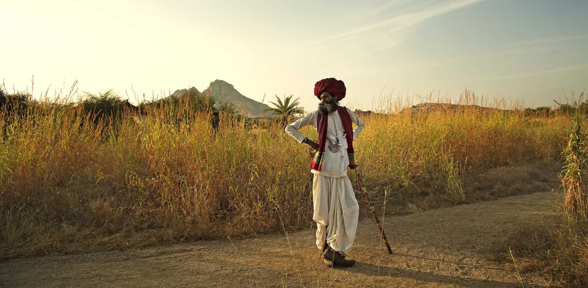 Jawai