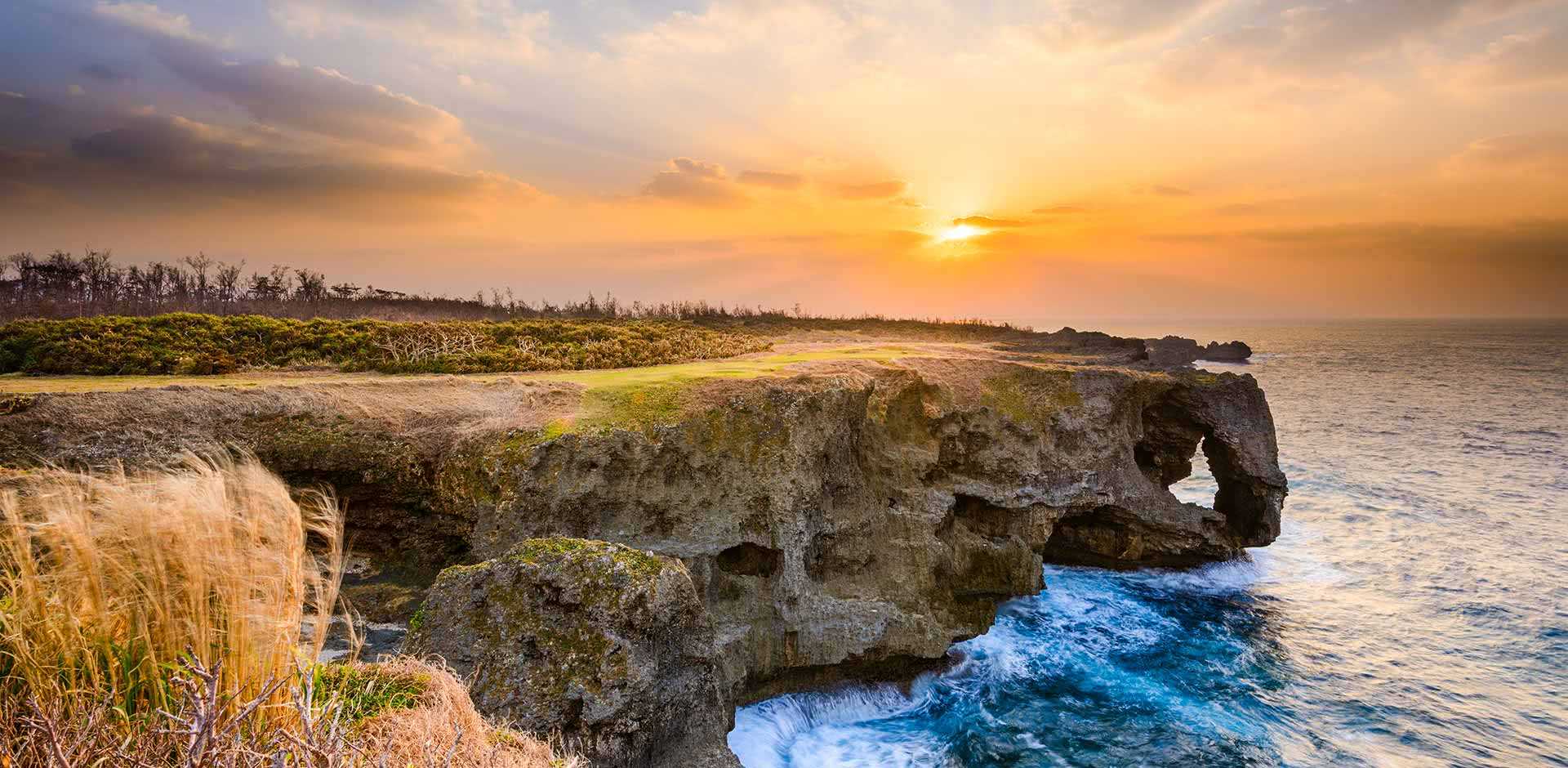 Nature-focused theme park to open in Okinawa in 2025 - The Japan Times