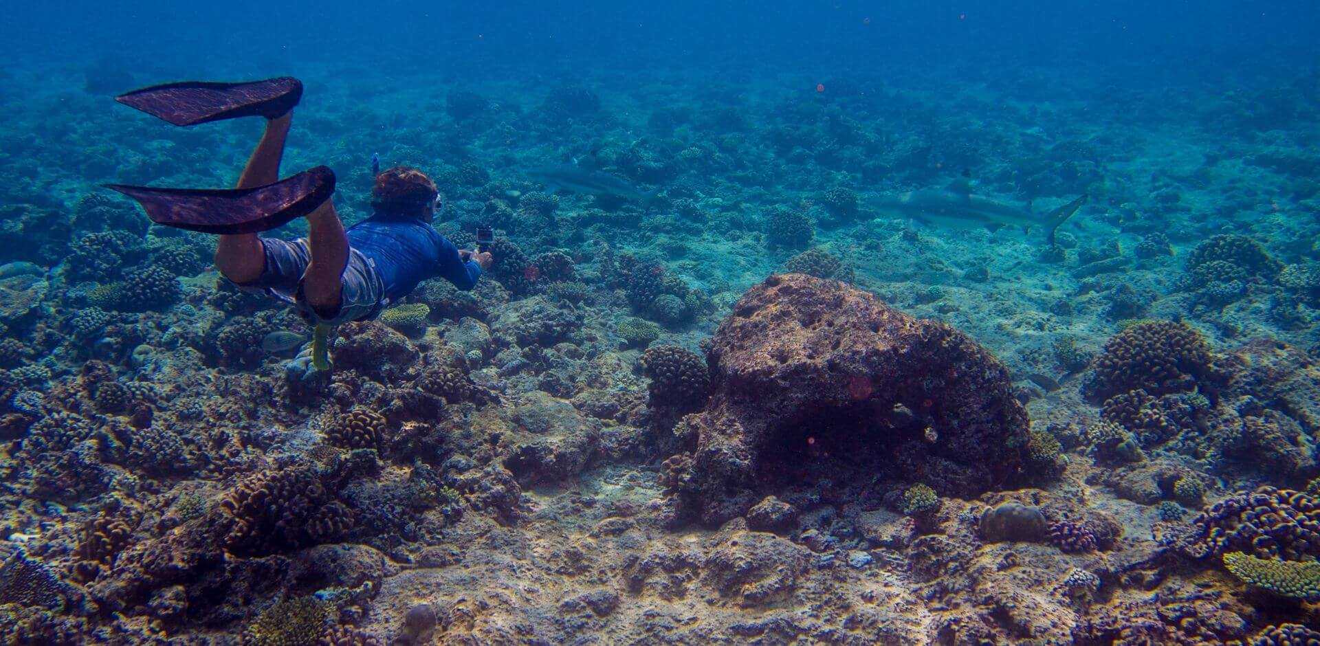 Gili Lankanfushi