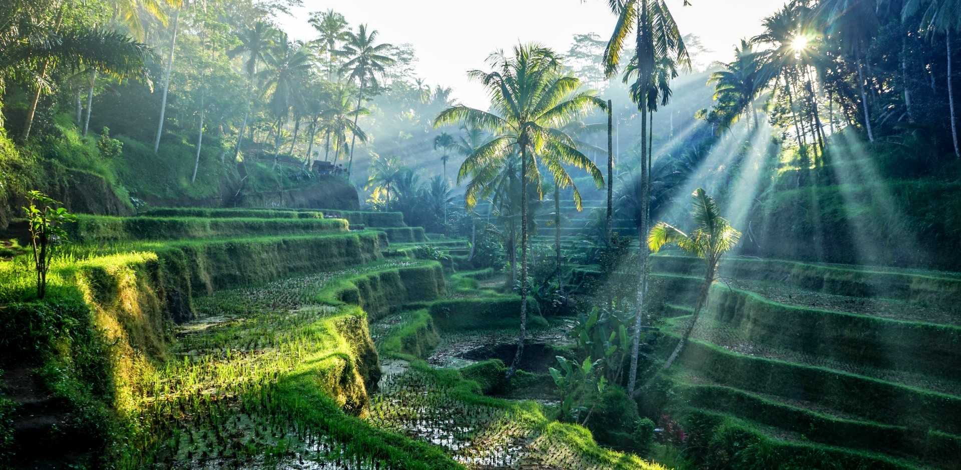 Ubud