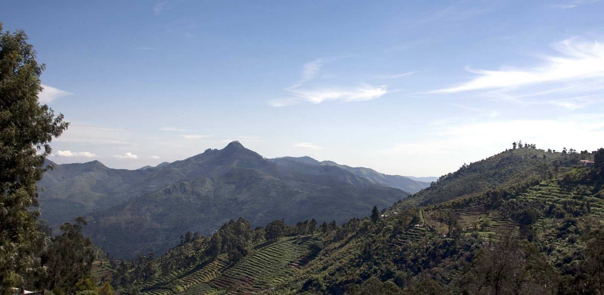 Coorg