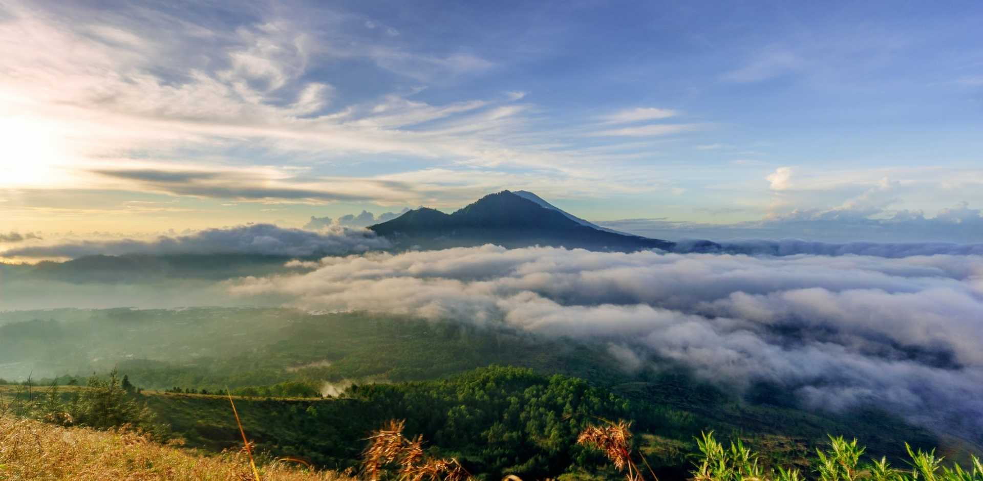 Manggis