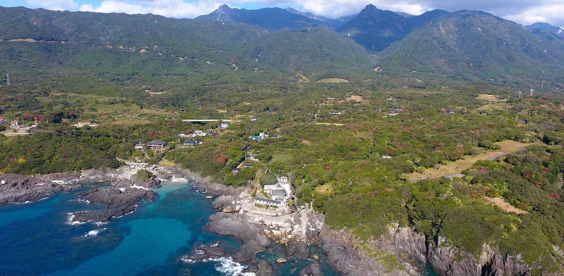 Yakushima Island