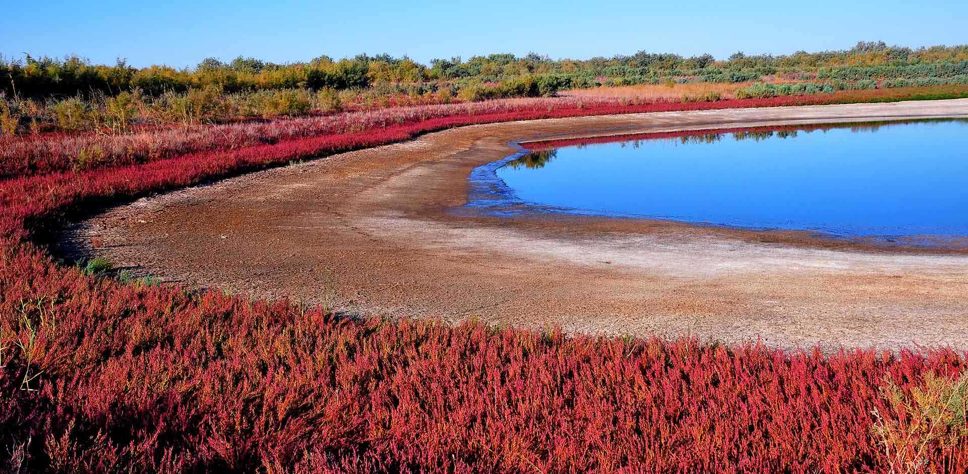 Nurata & Aydarkul Lake