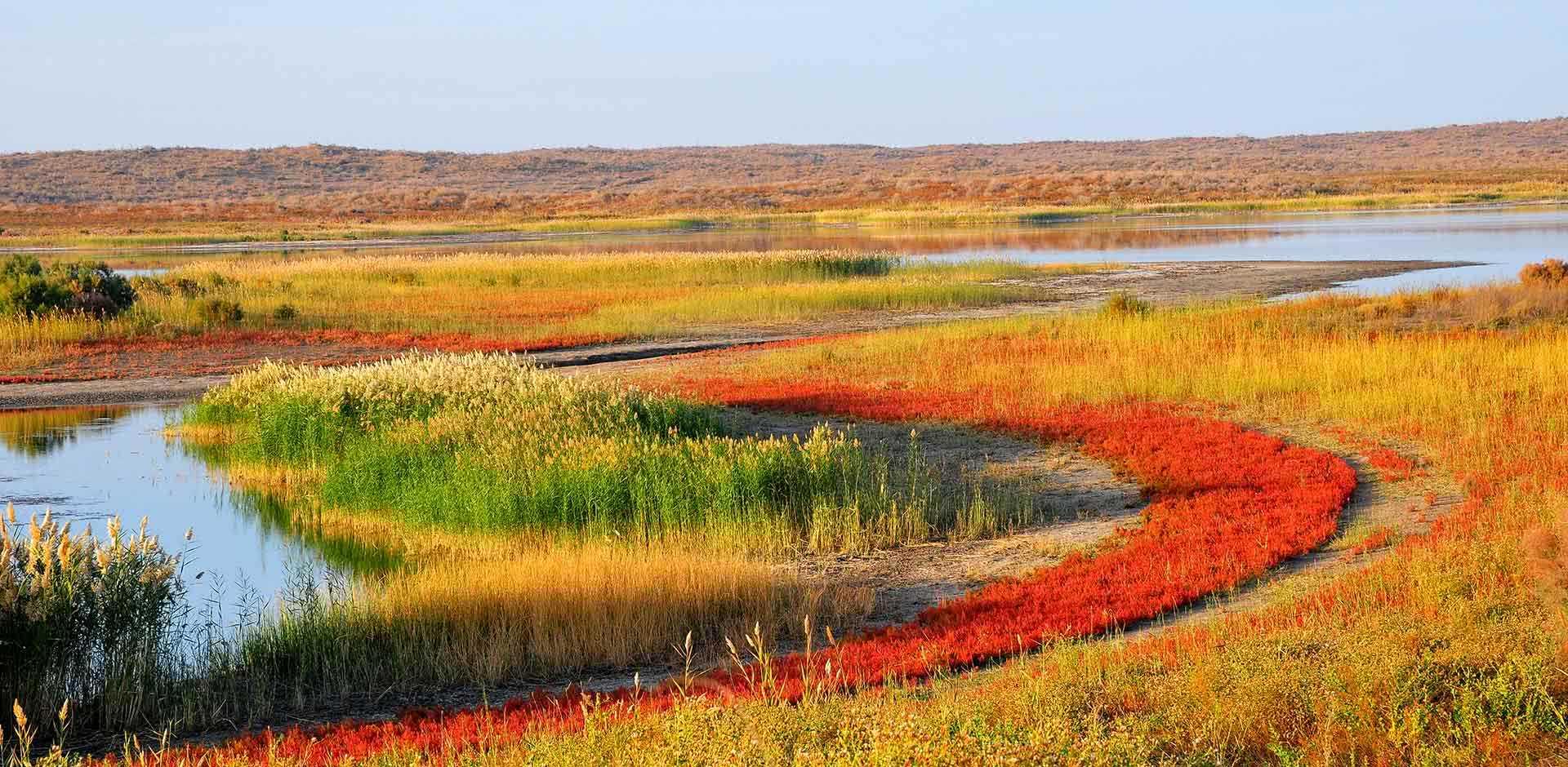 Nurata &amp; Aydarkul Lake