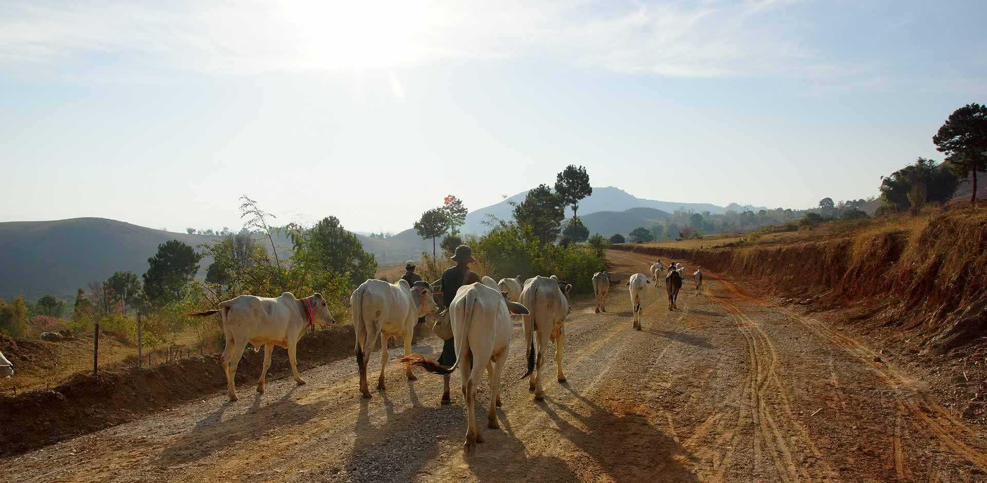 Kalaw