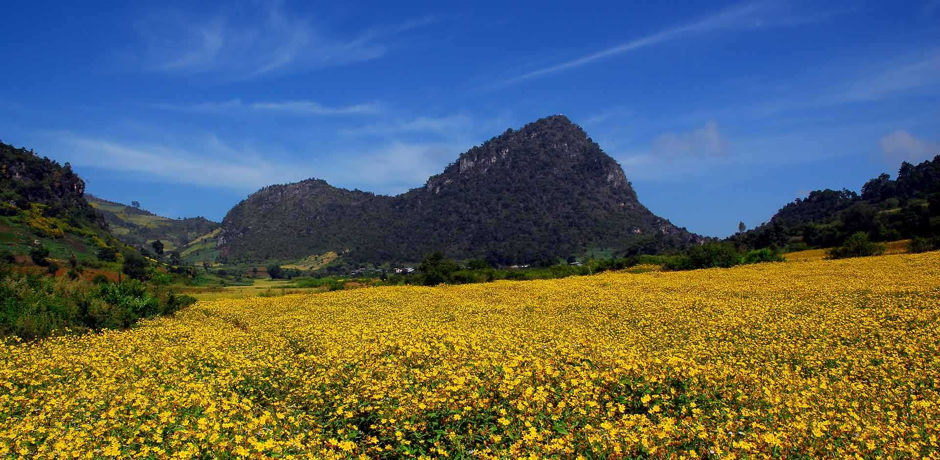Kalaw