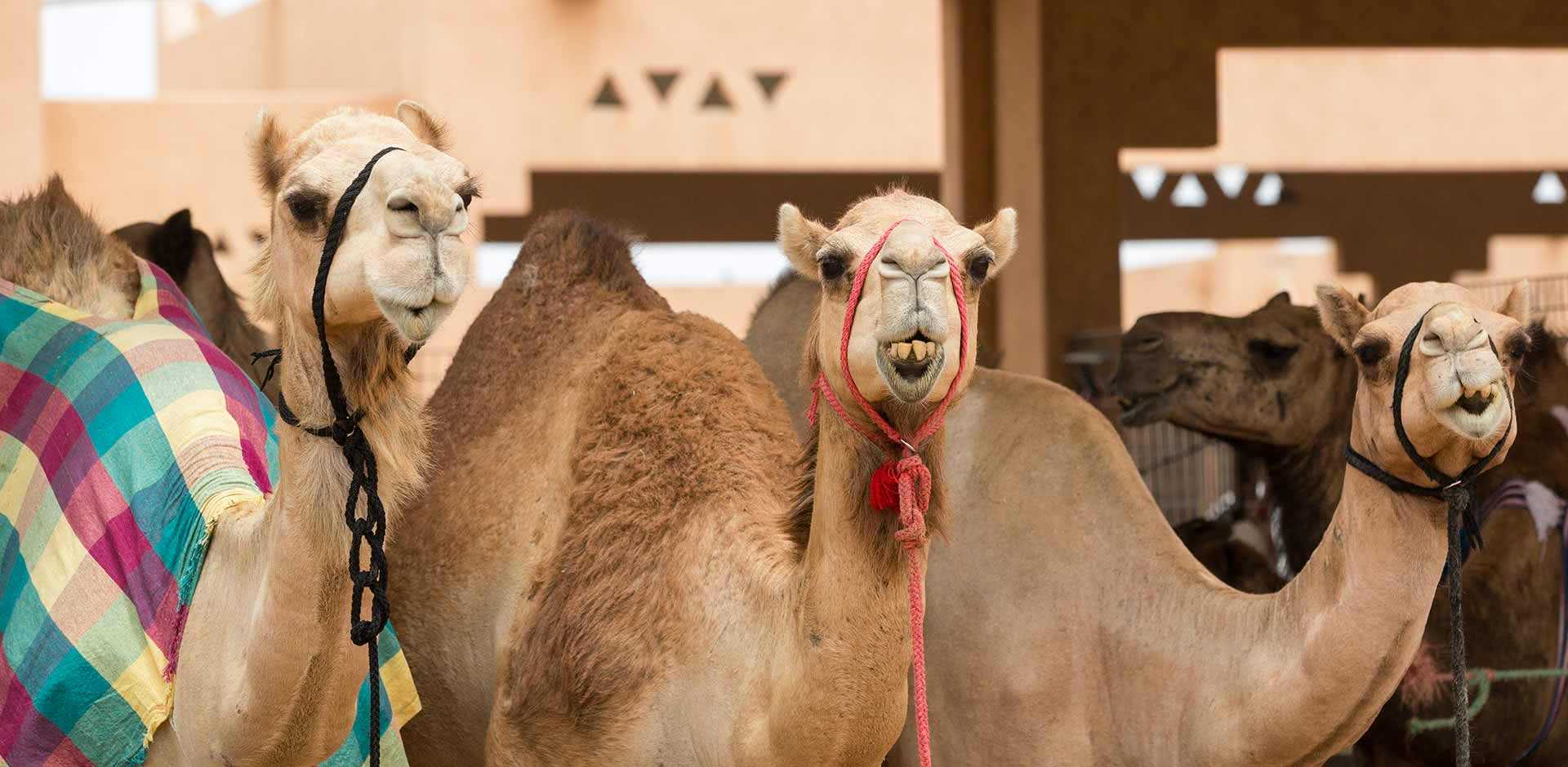Al Ain