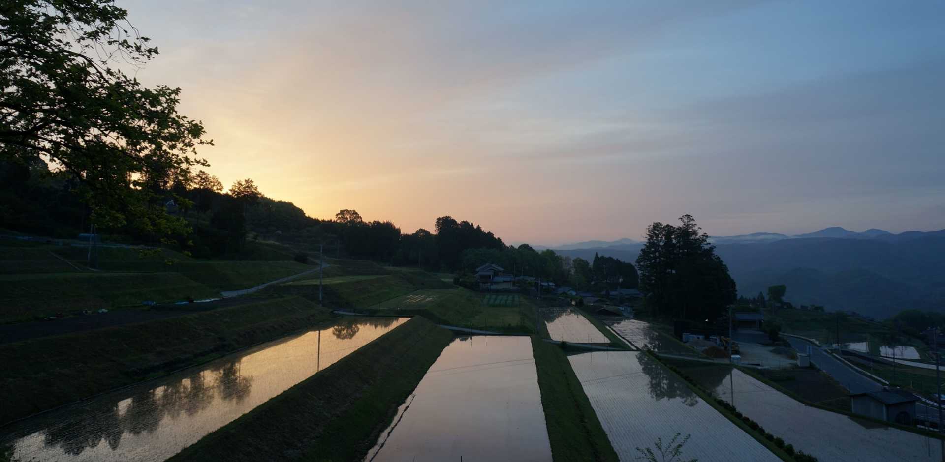 Sasayuri-Ann