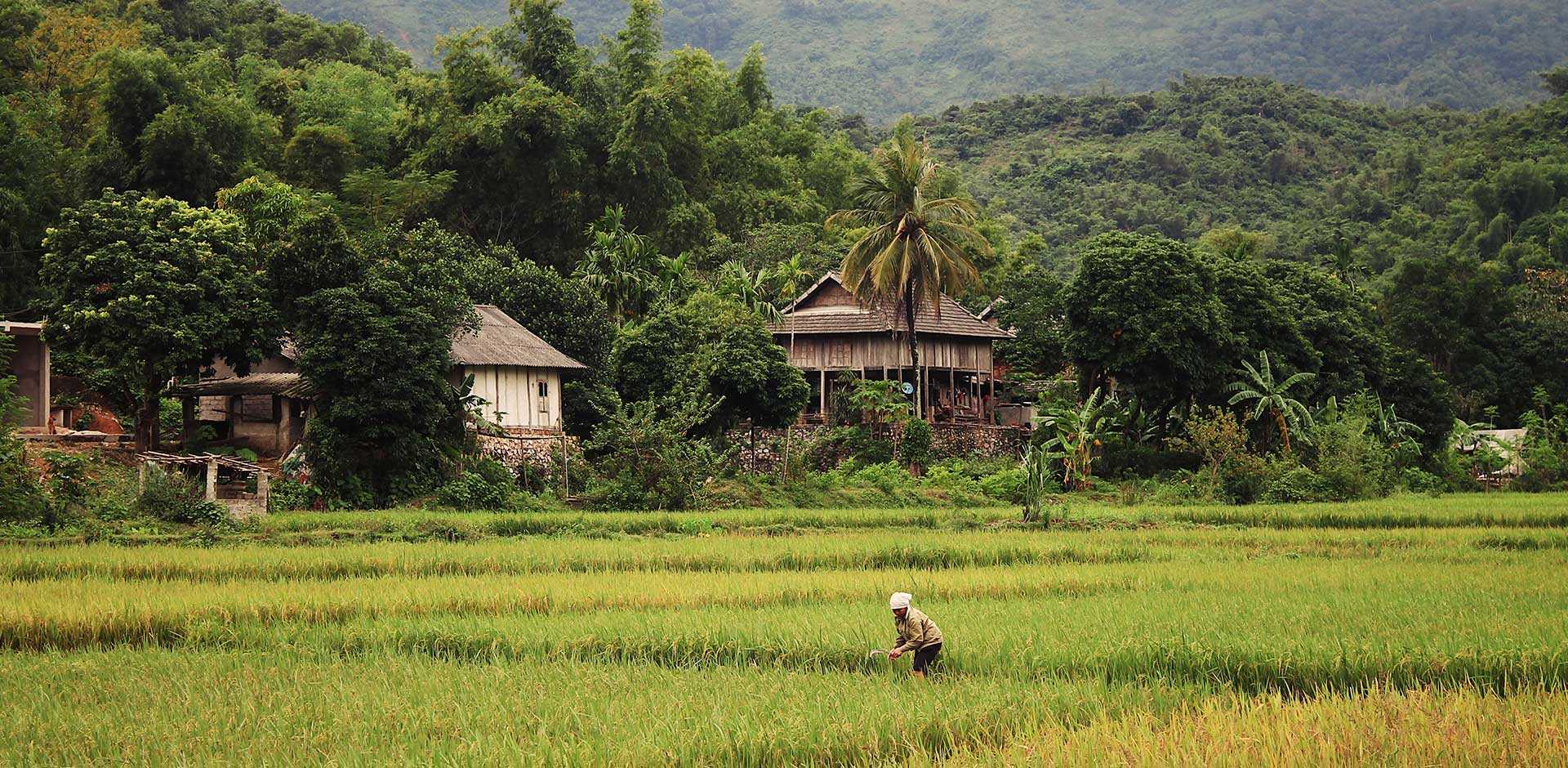 Mai Chau