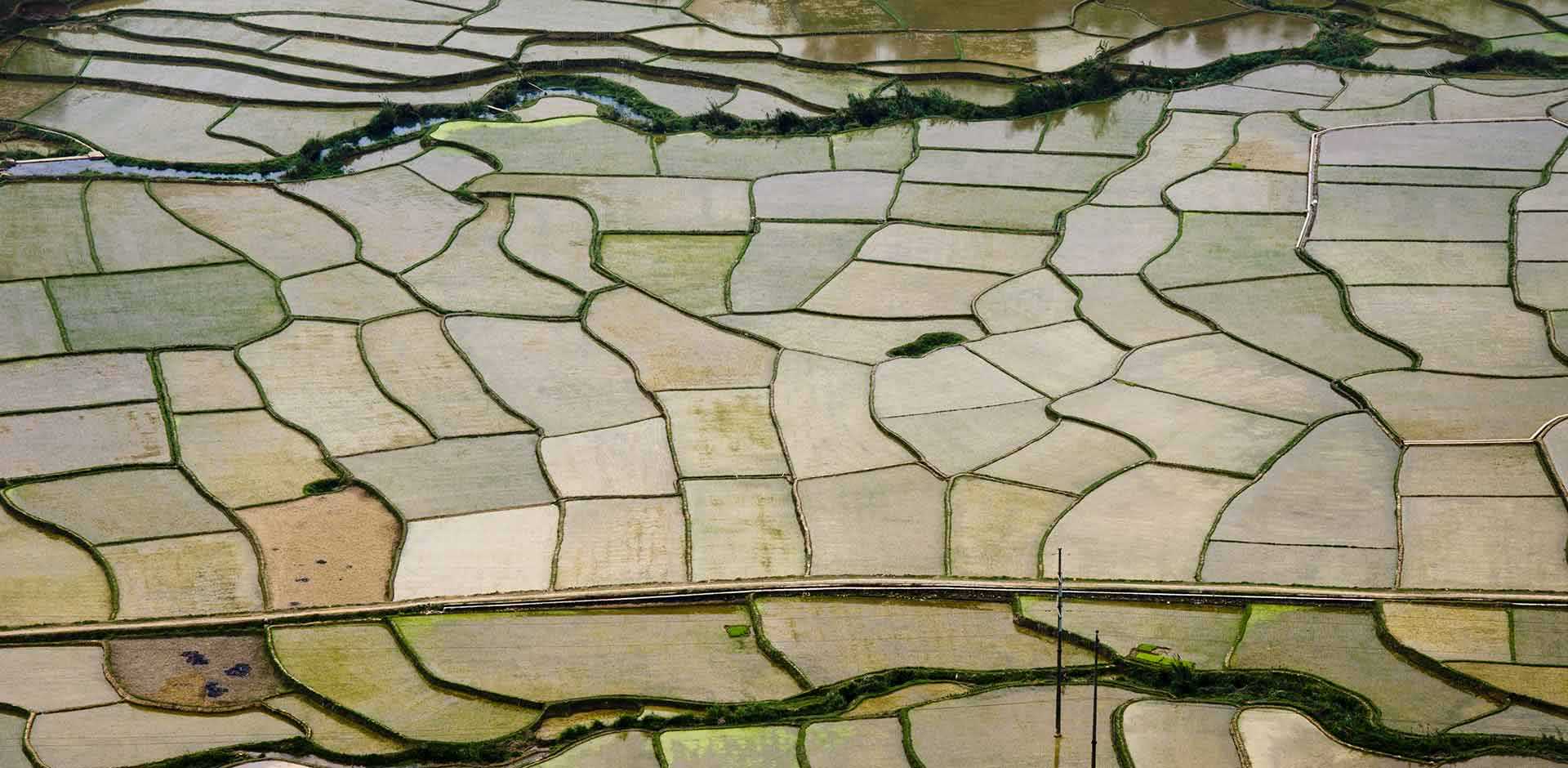 Mai Chau
