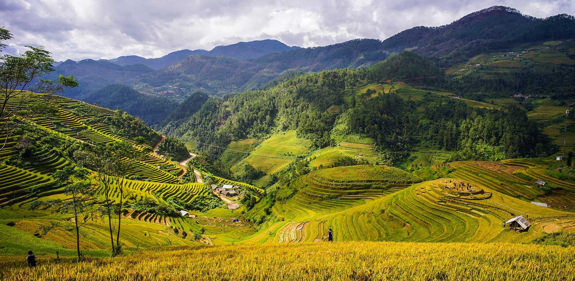 Mai Chau