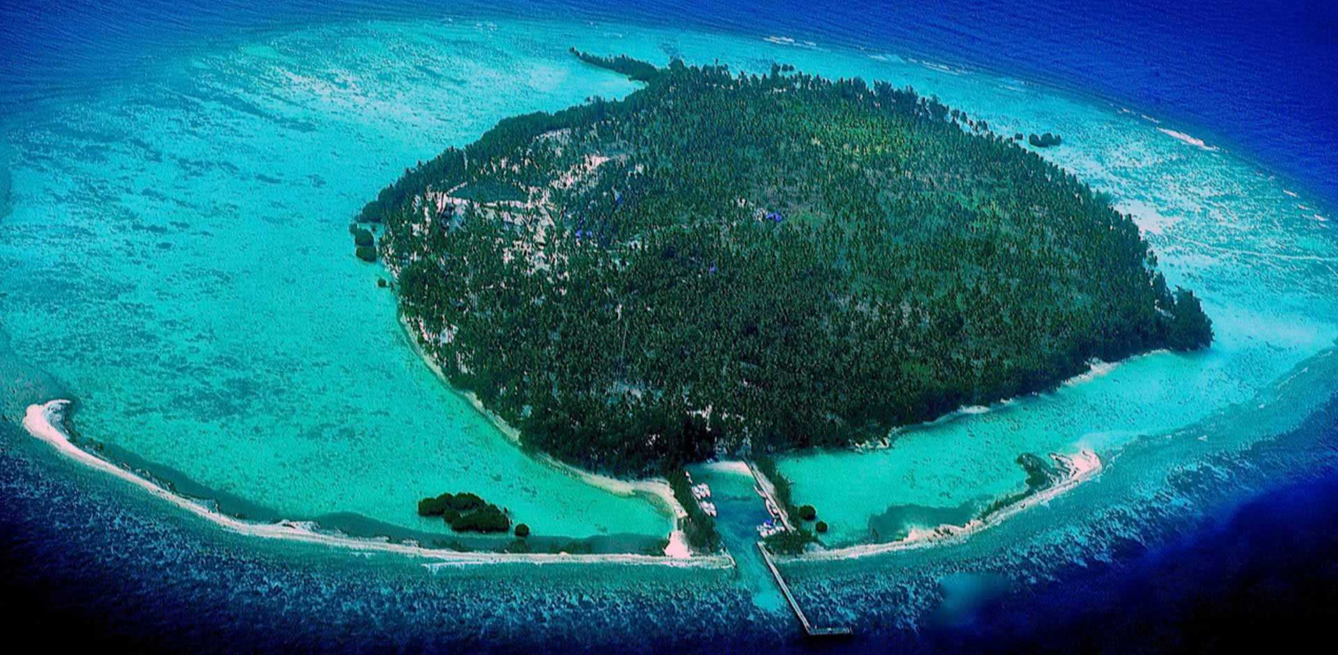 Kura Kura Resort