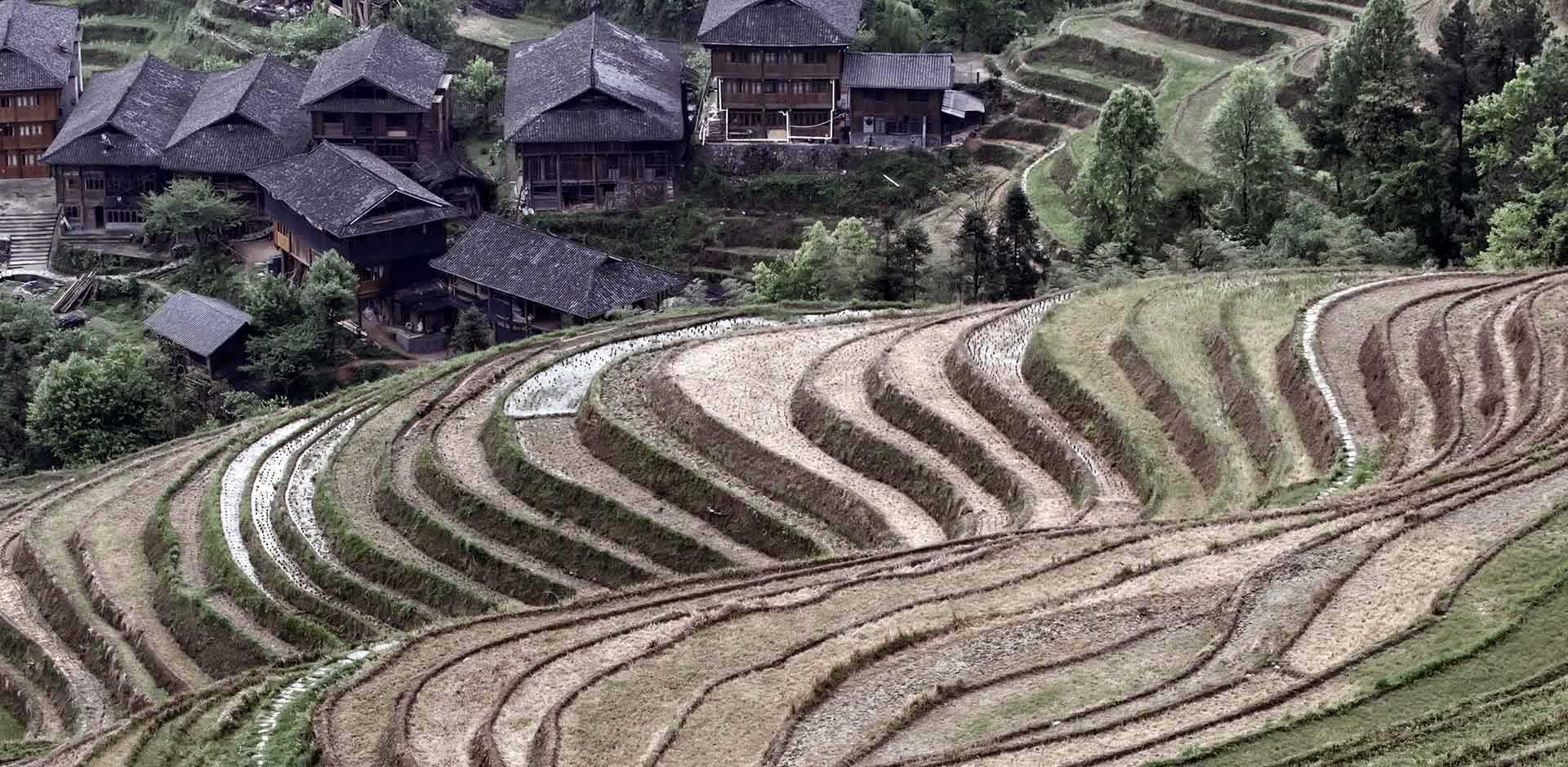 Ping An
