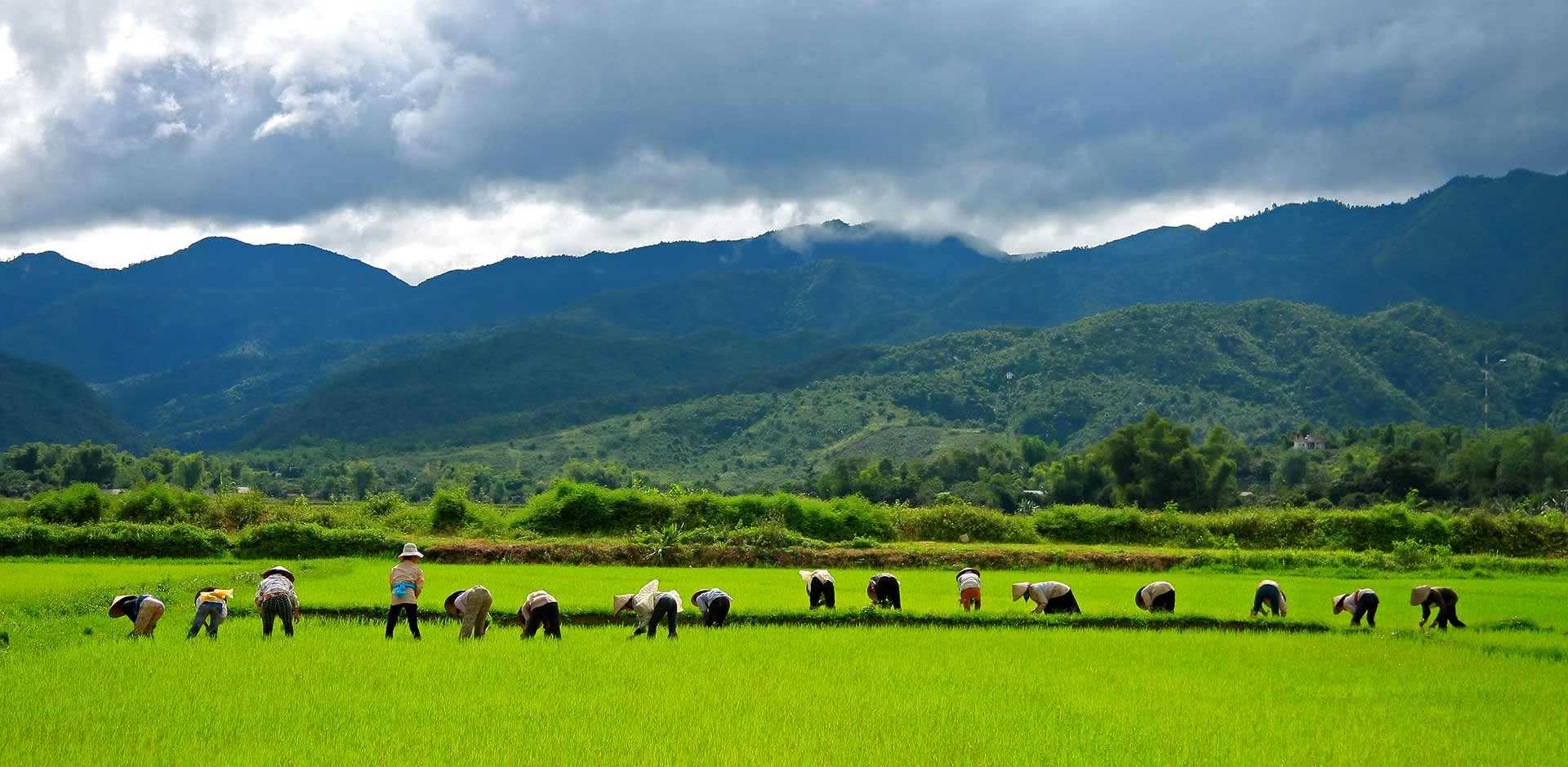 Dien Bien Phu