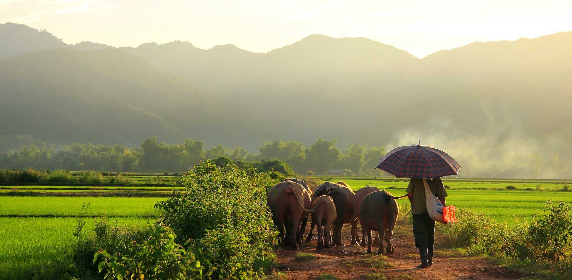 Dien Bien Phu