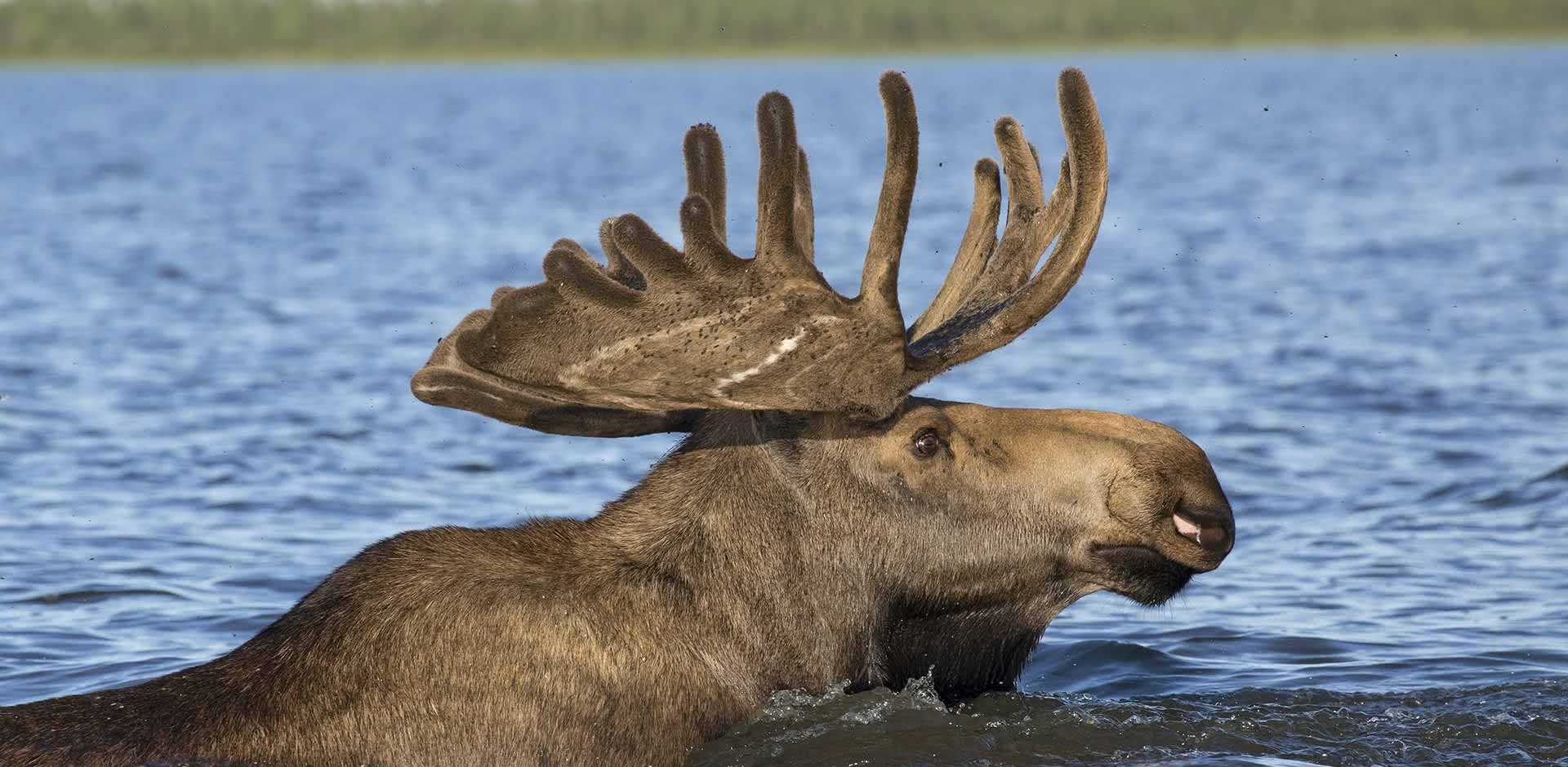 Yakutsk