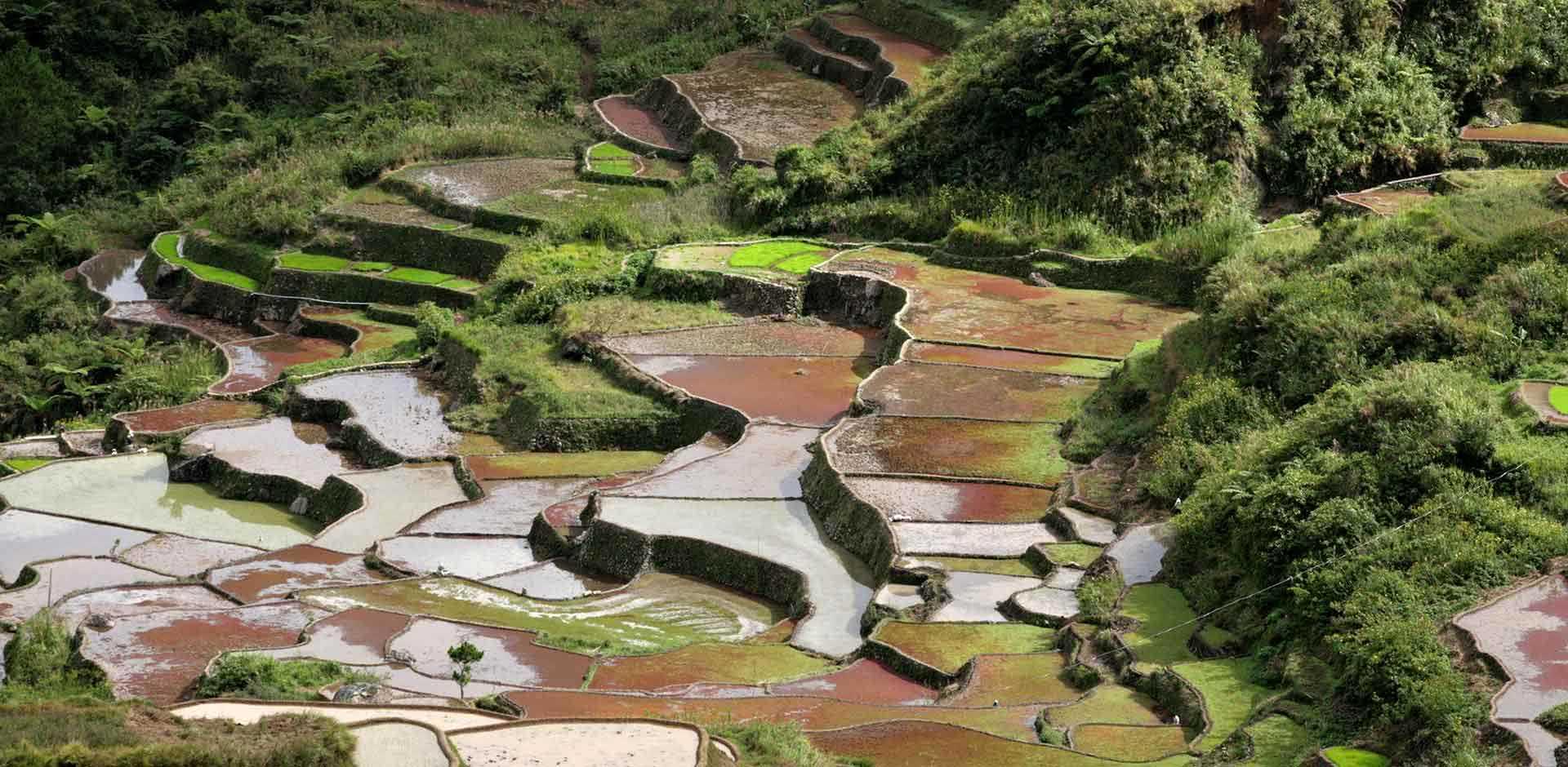 Sagada