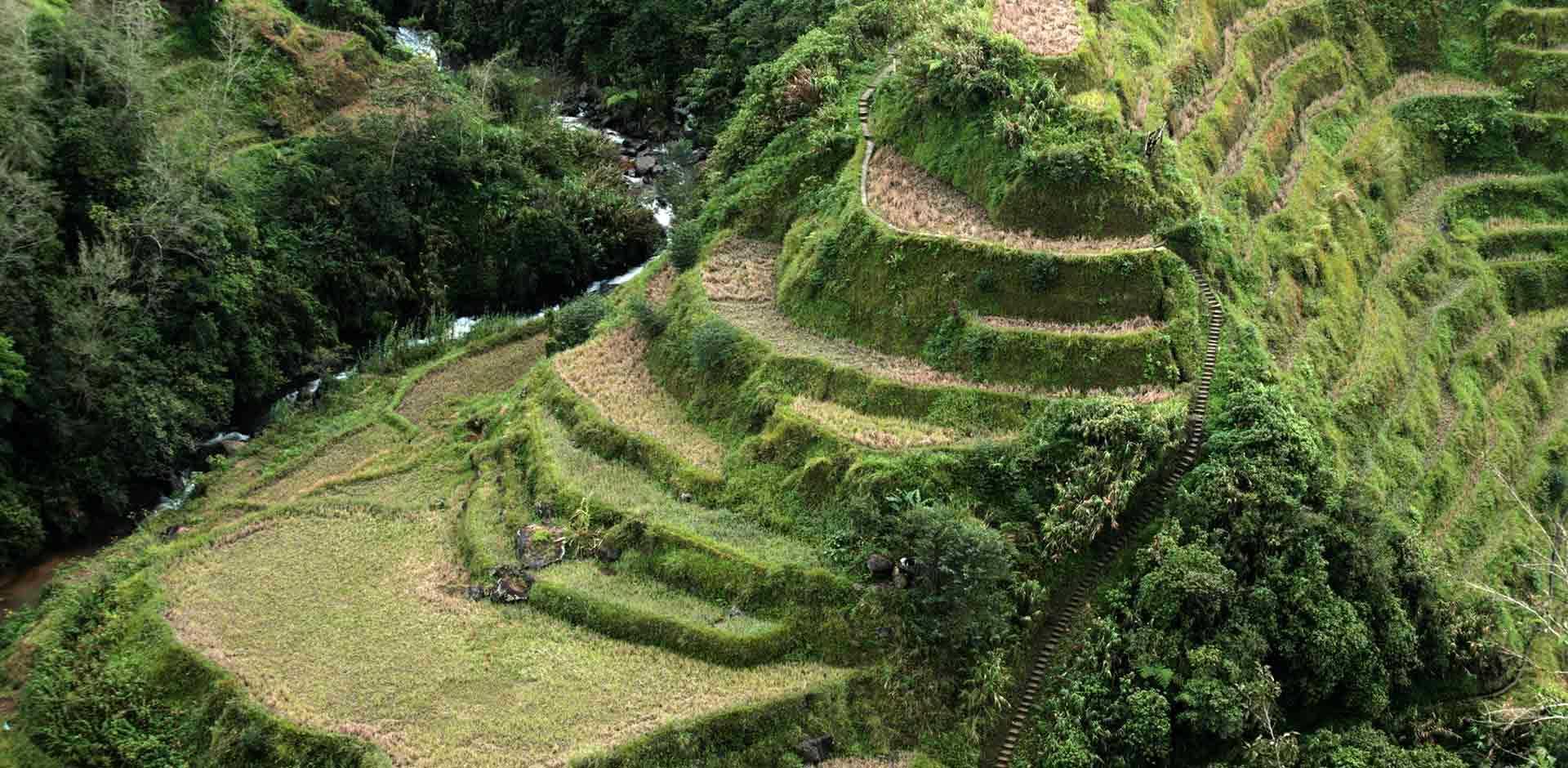 Sagada