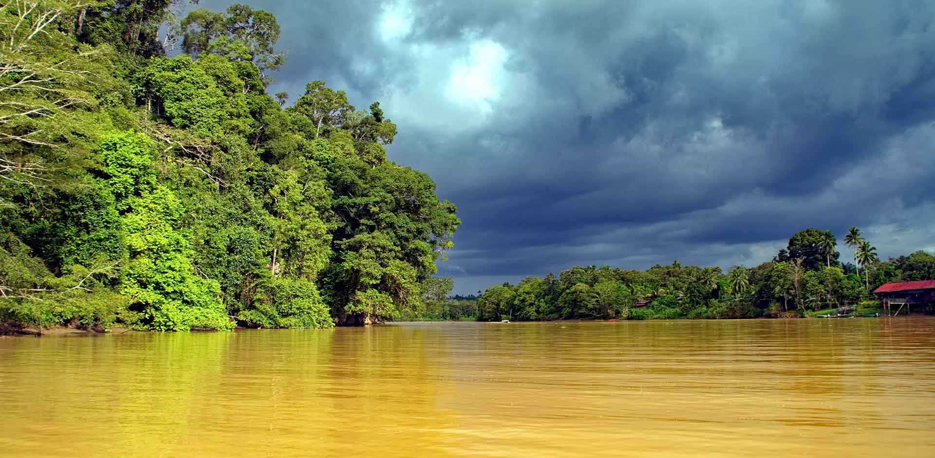 Kinabatangan River