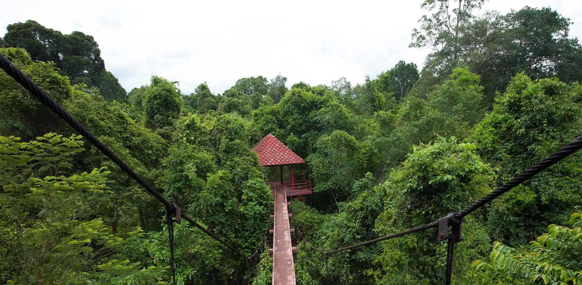 Danum Valley
