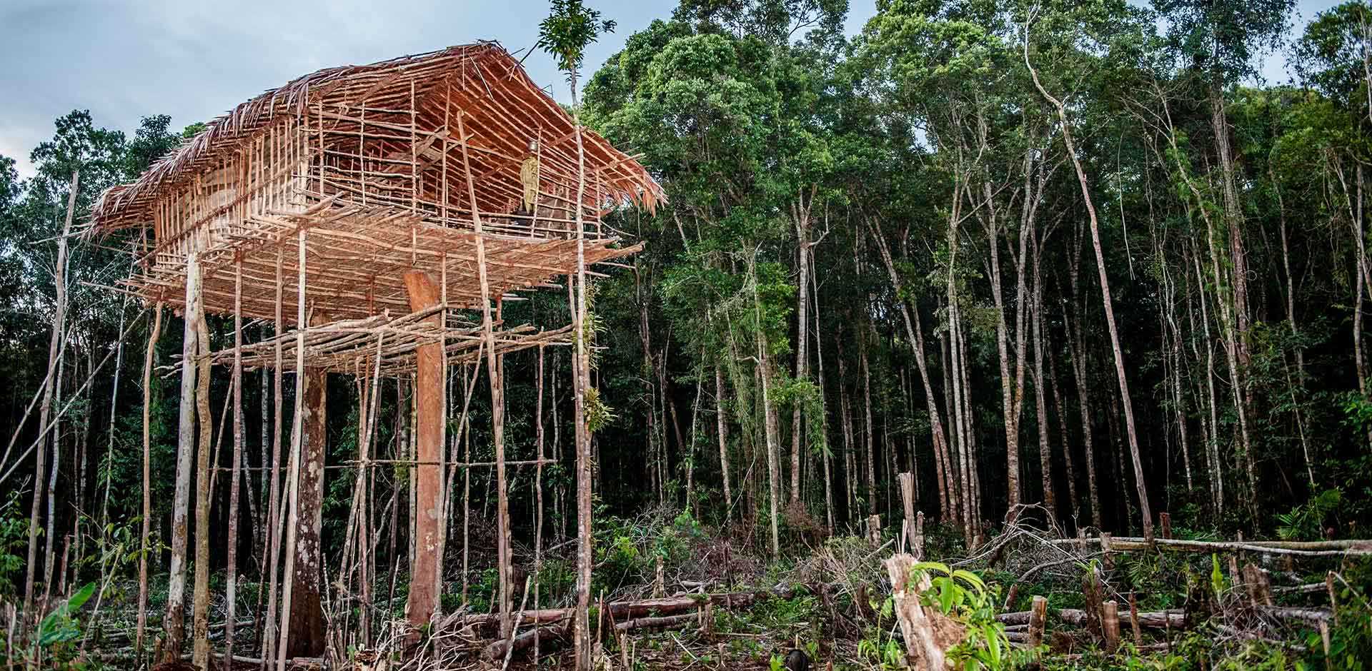 Papua