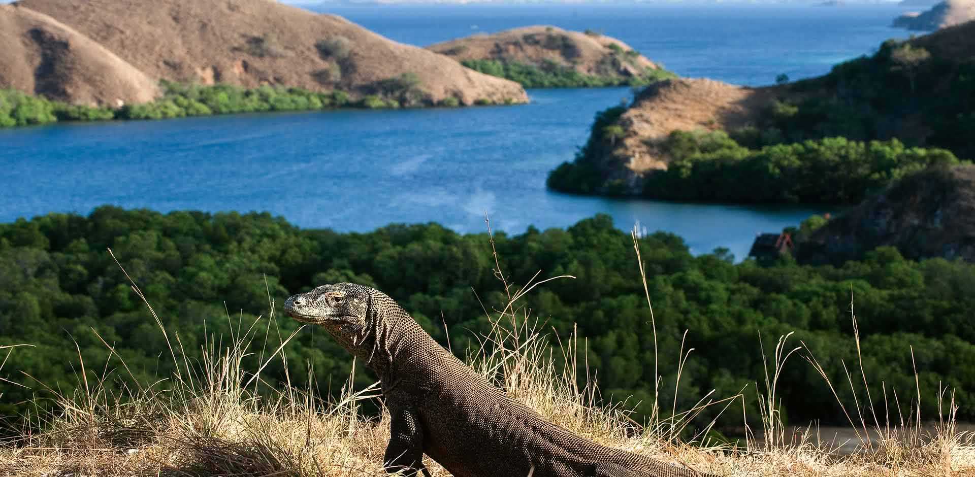 Komodo National Park