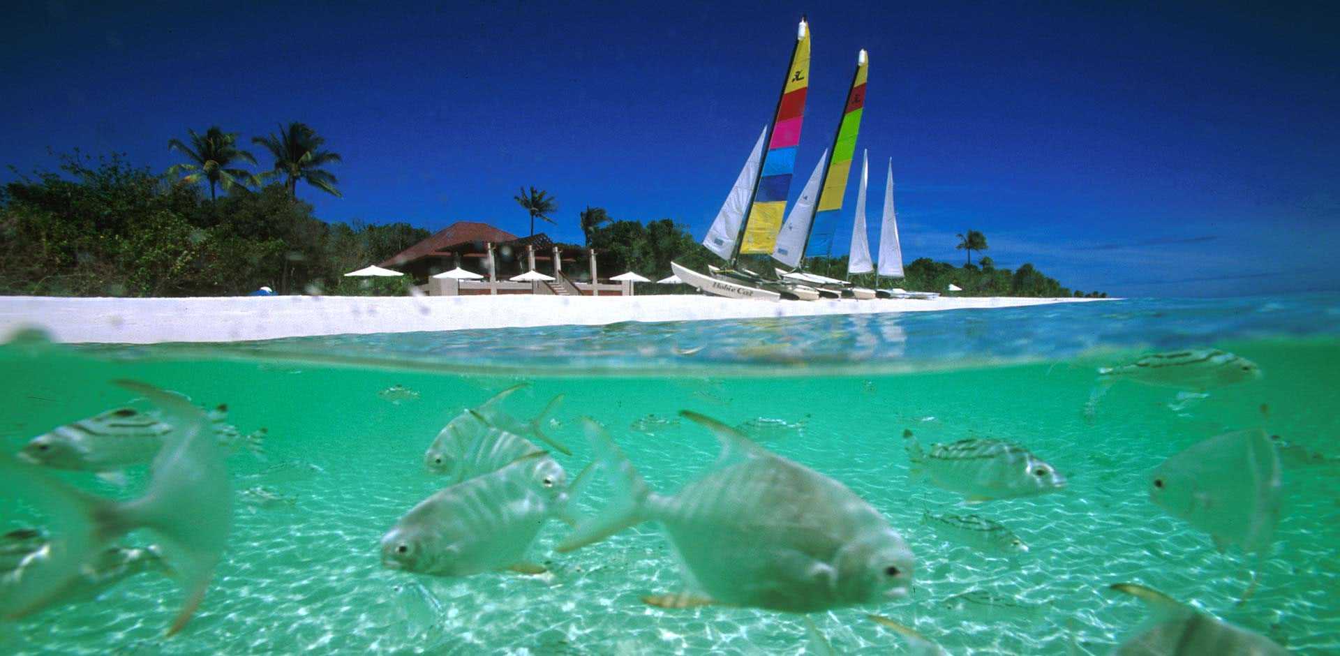 Pamalican Island
