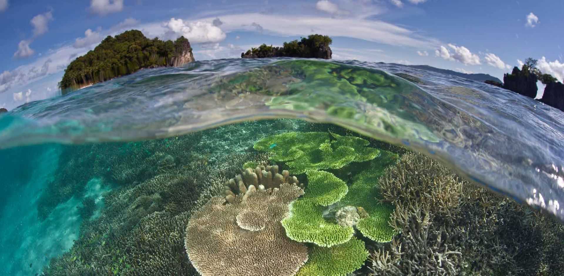 Raja Ampat