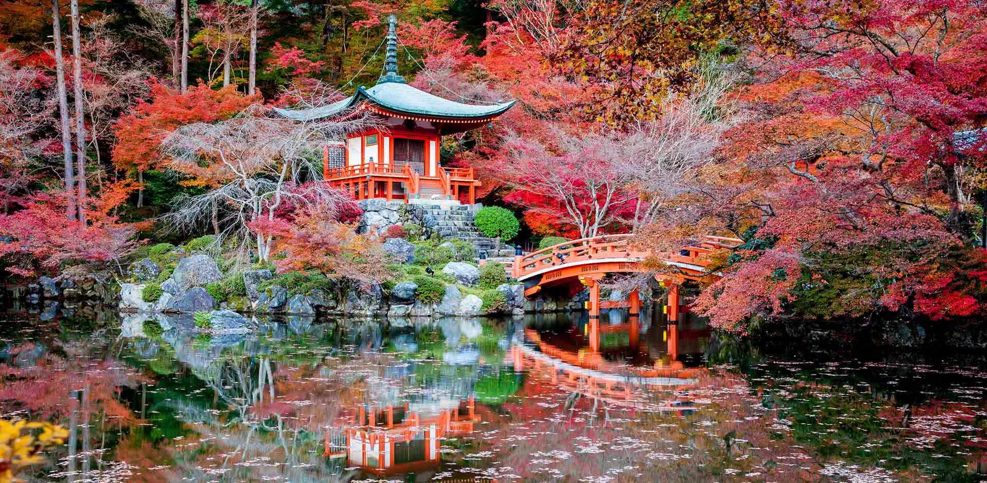 Kyoto | Japan | Luxe and Intrepid Asia | Remote Lands