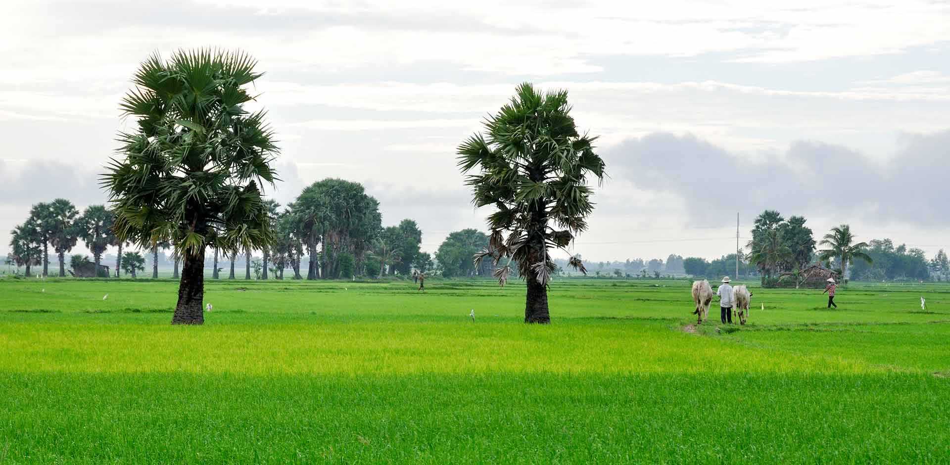Chau Doc