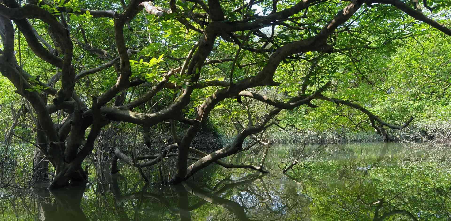 Sylhet