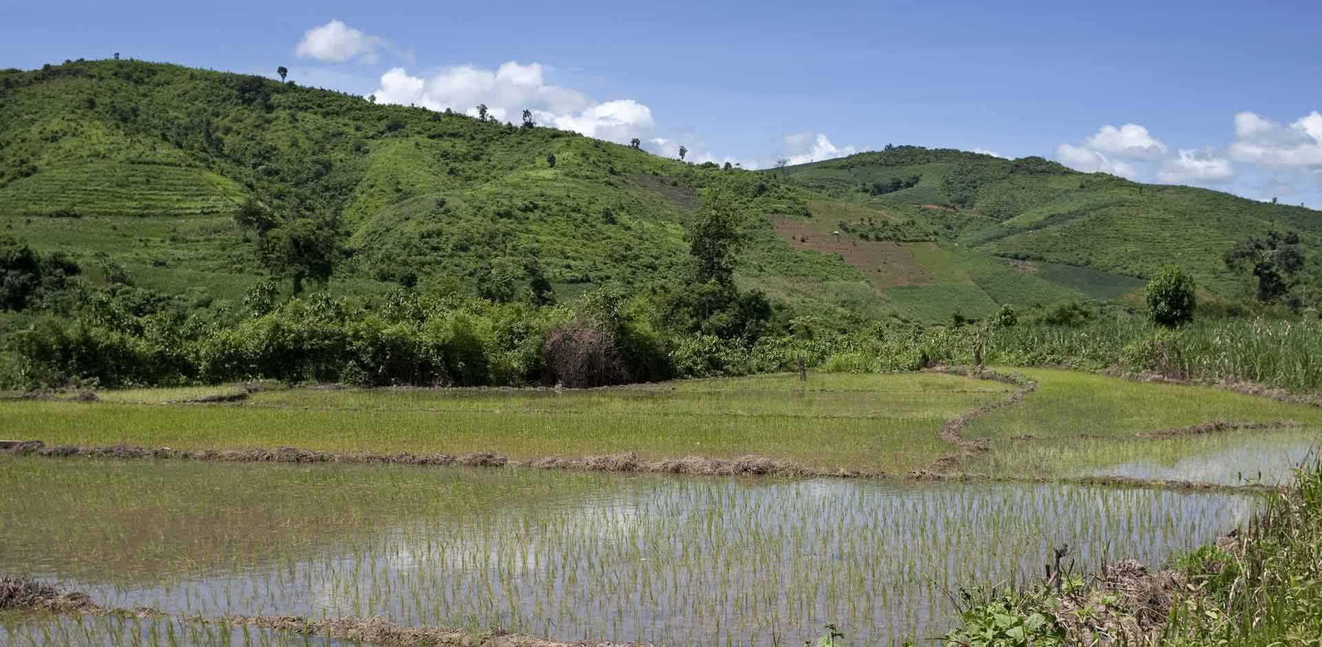 Luang Namtha