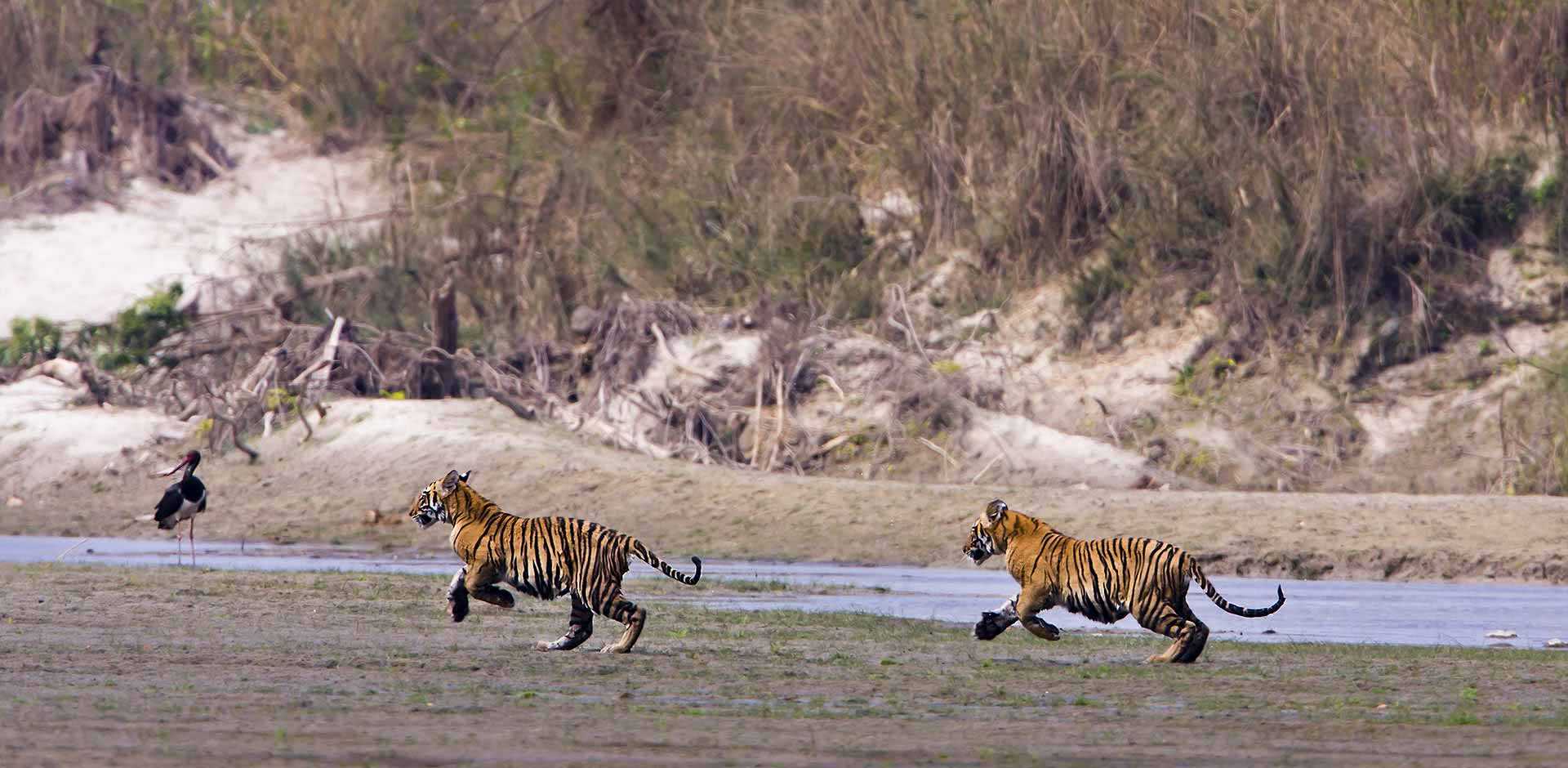 Bardia National Park