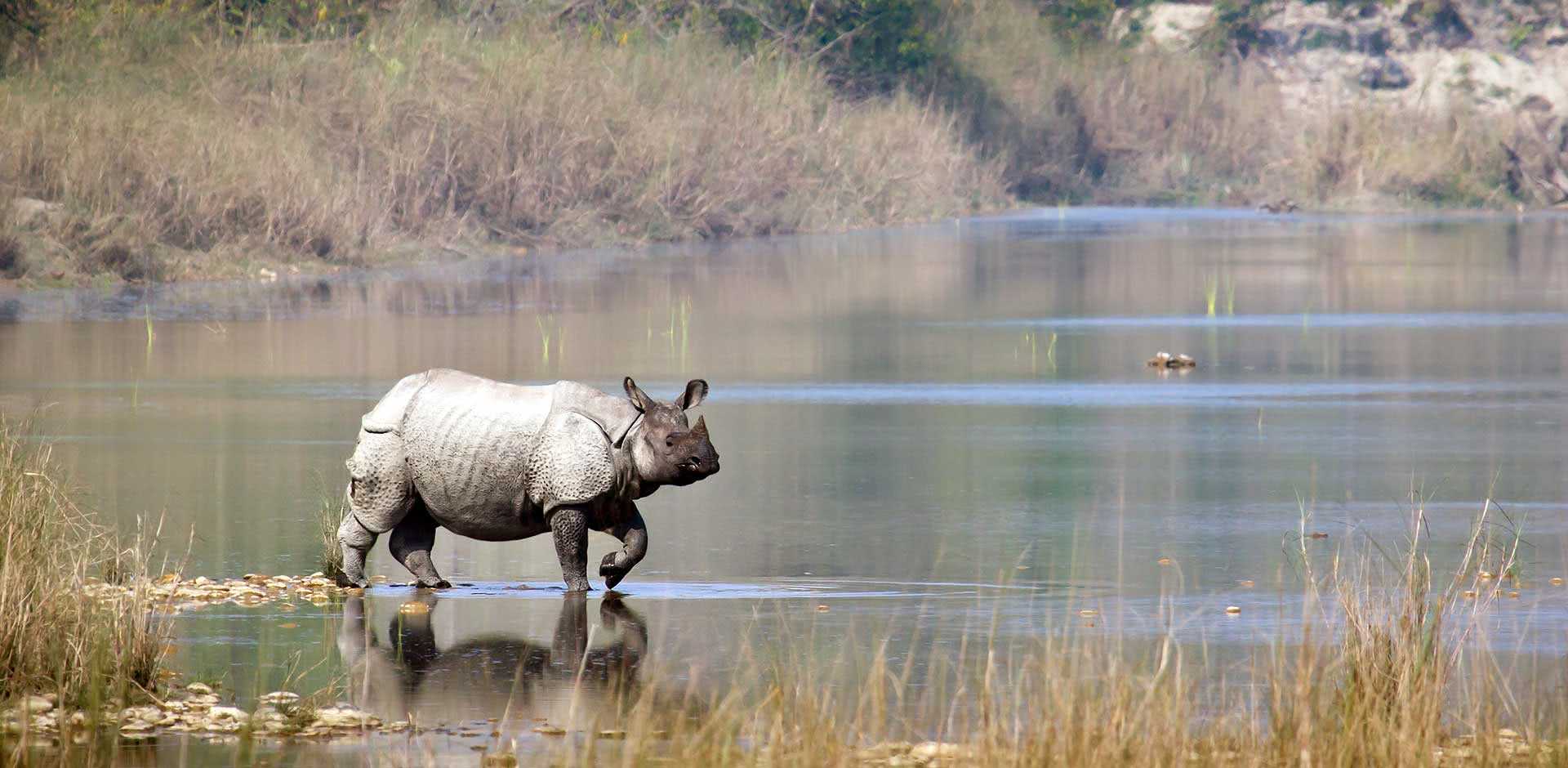 Bardia National Park