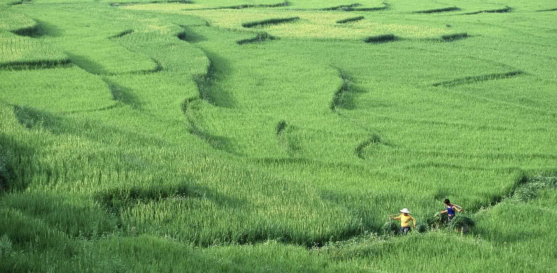 Xishuangbanna