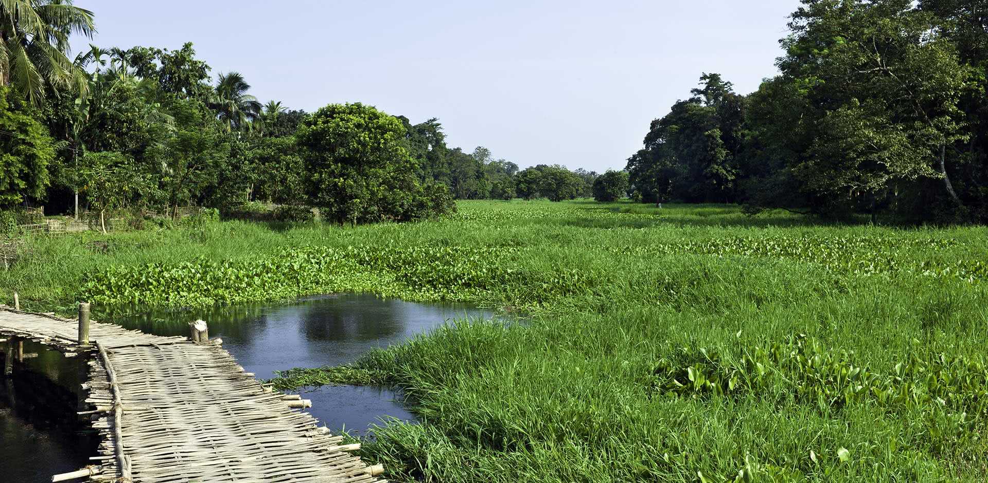 Assam