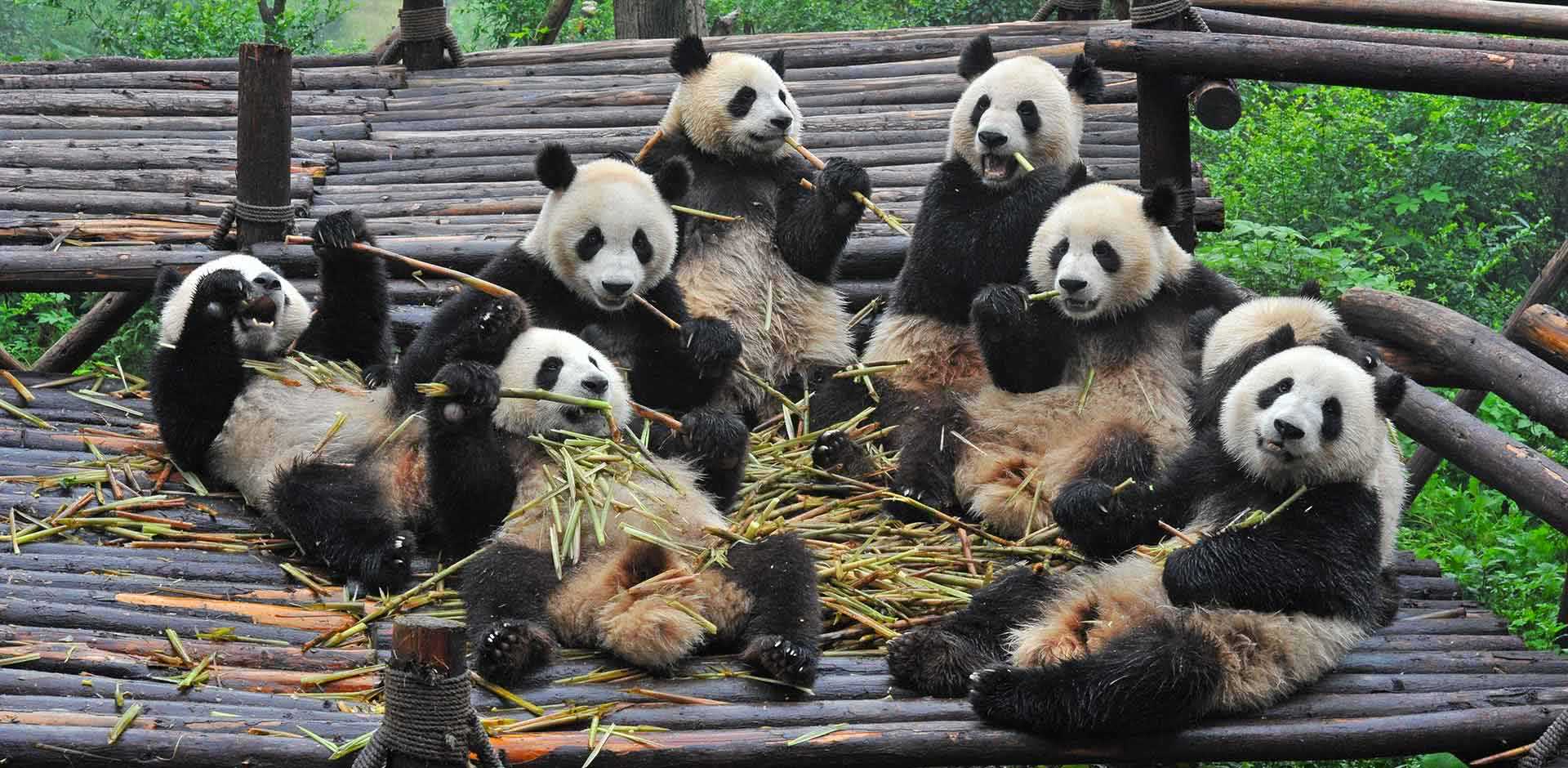 Chengdu