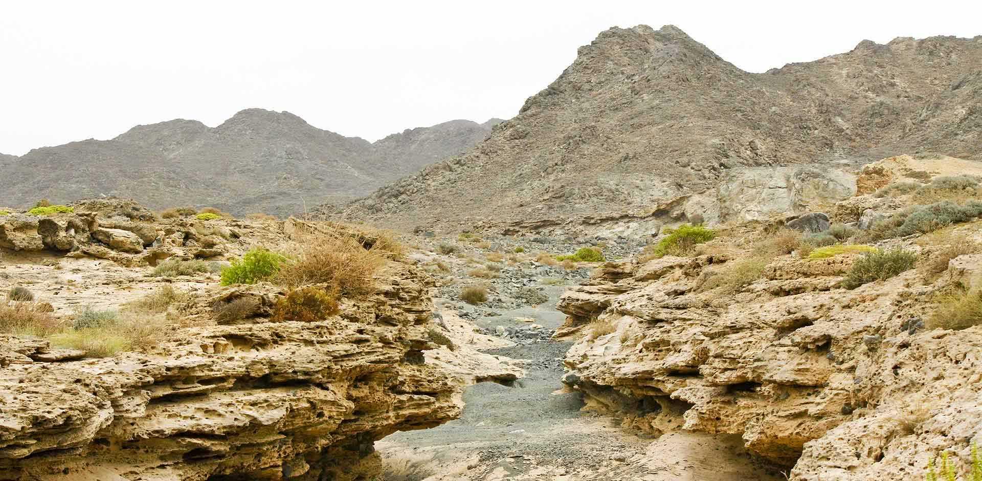 Masirah Island 