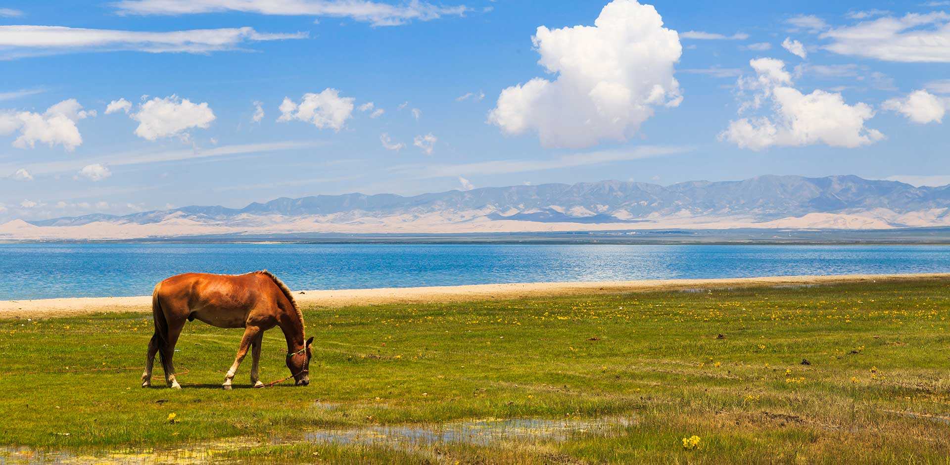 Qinghai