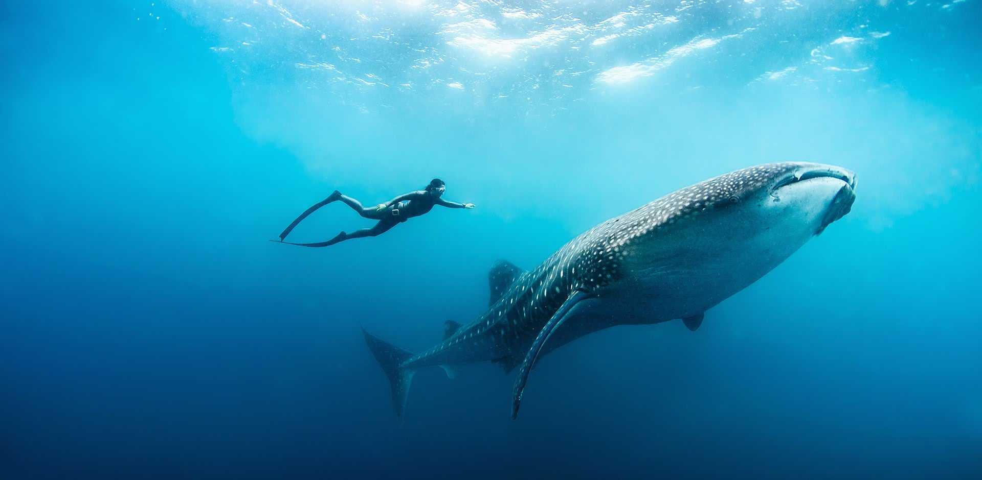 Soneva Fushi