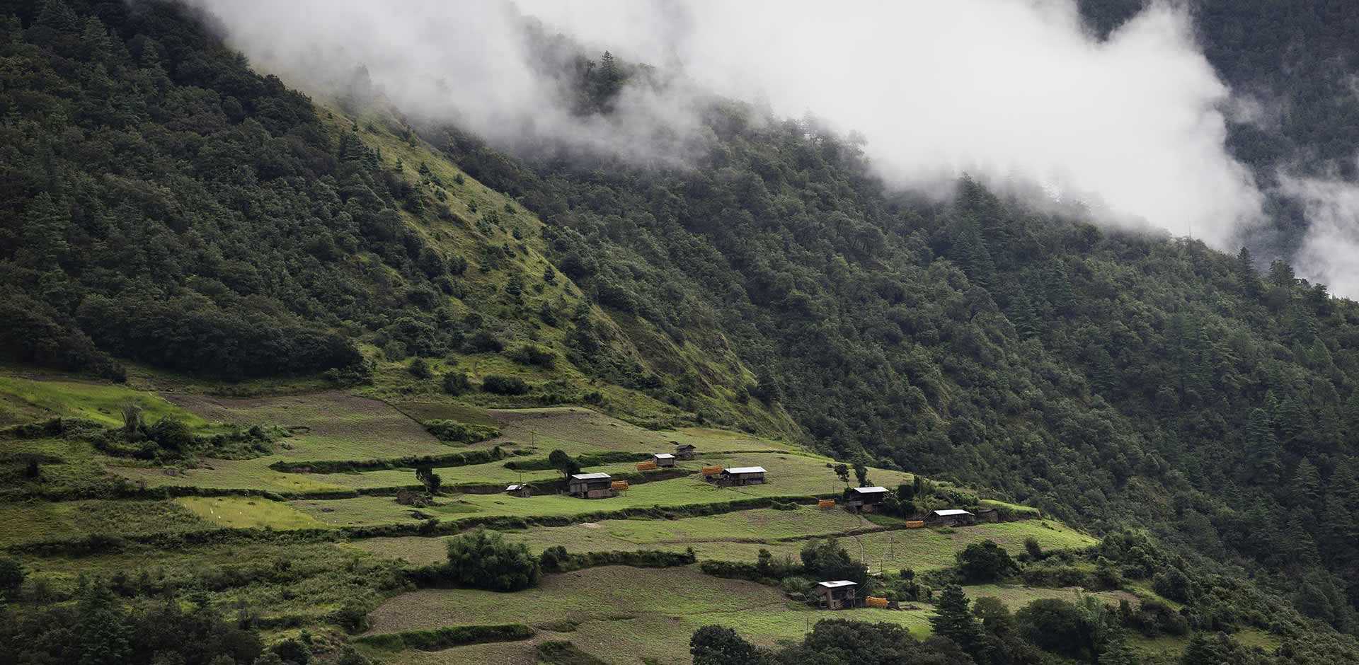 Arunachal Pradesh