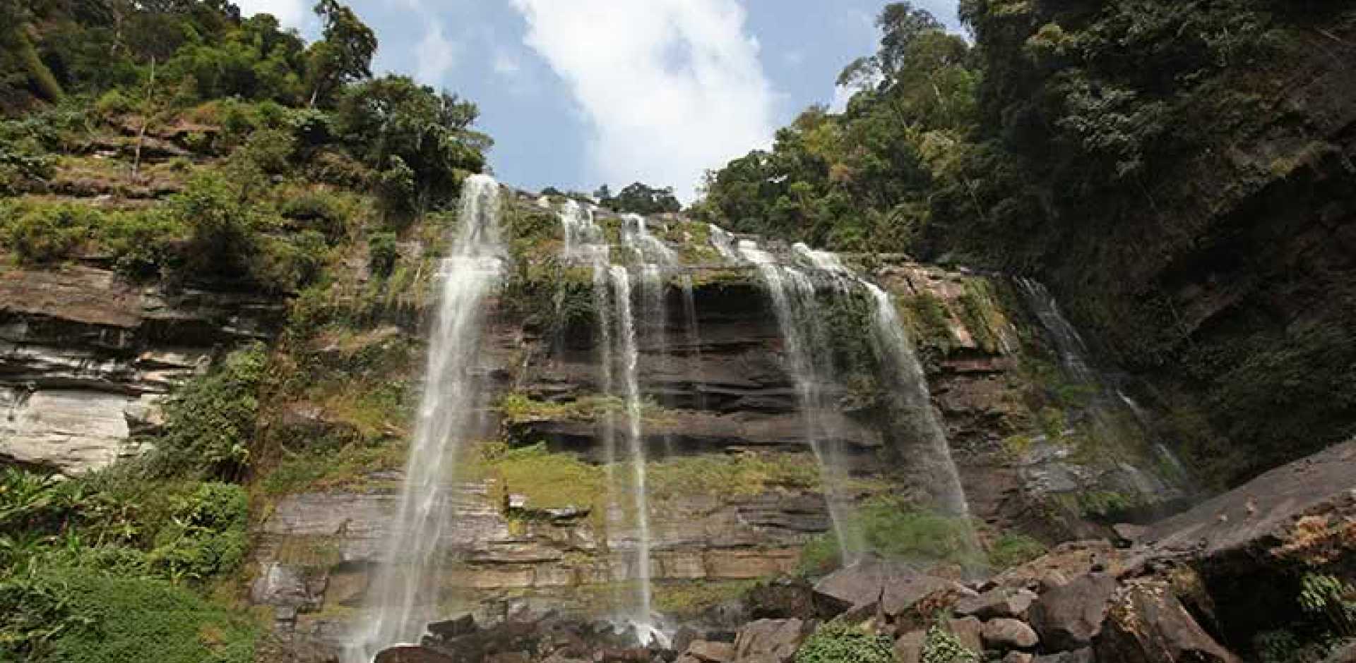 Paksong