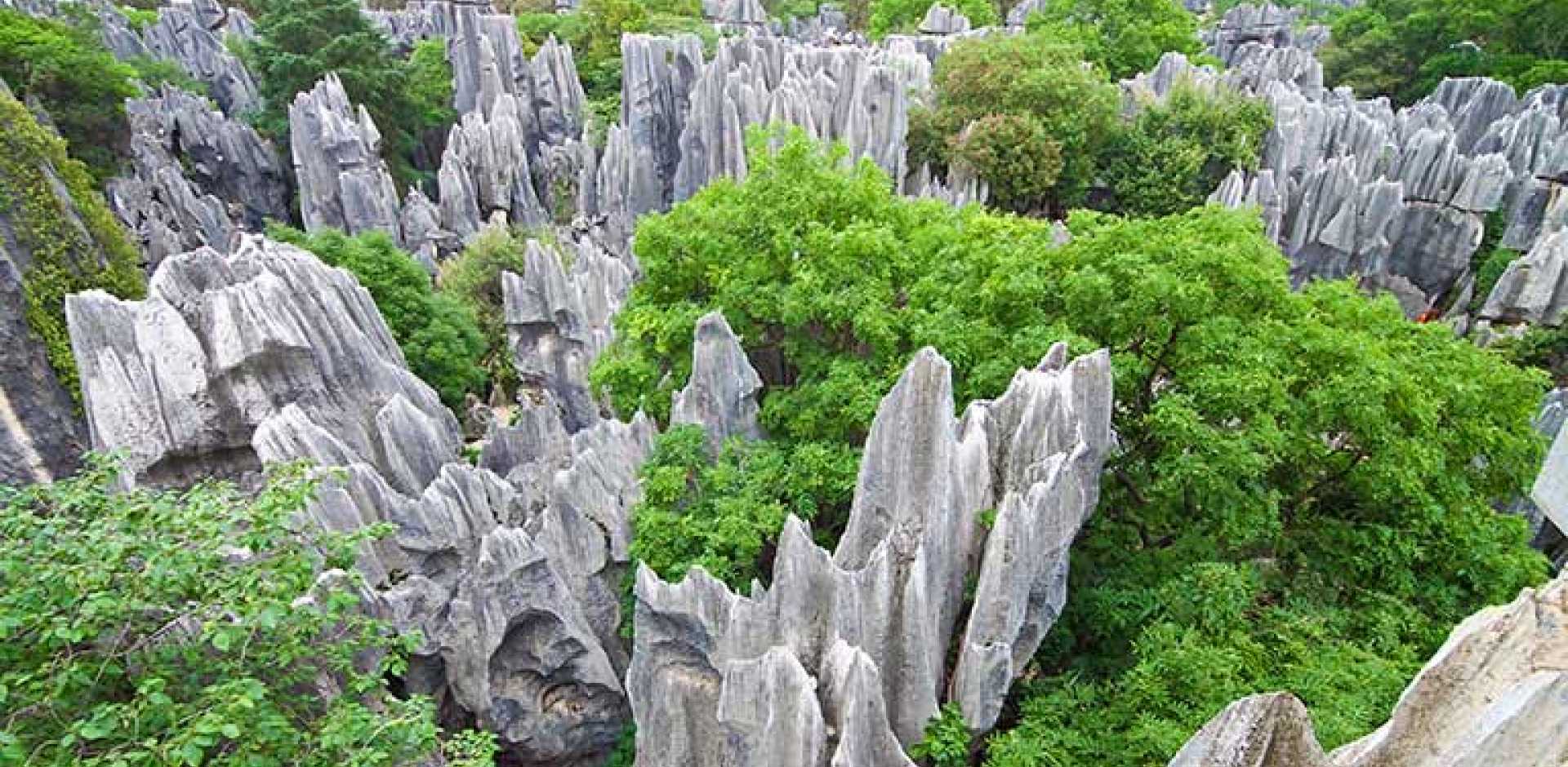 Kunming | Yunnan | China | Luxe and Intrepid Asia | Remote Lands