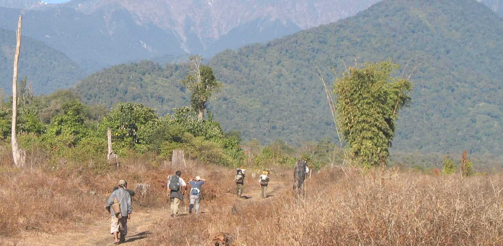 Putao