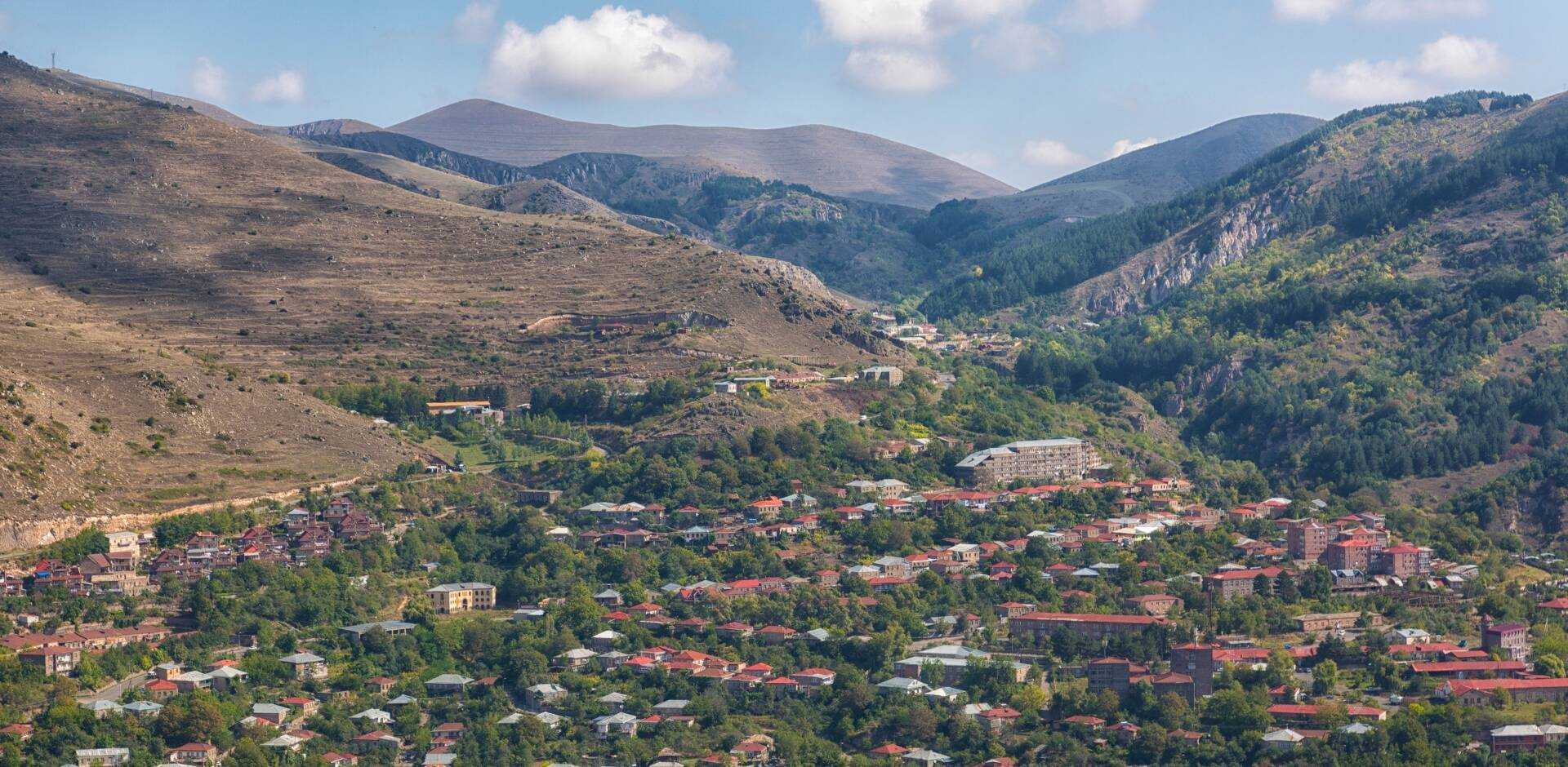 Goris