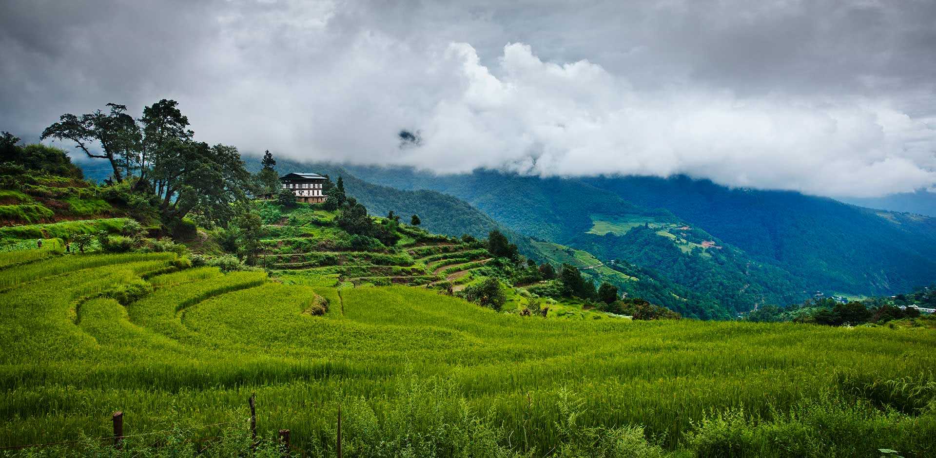 COMO Uma Bhutan Punakha