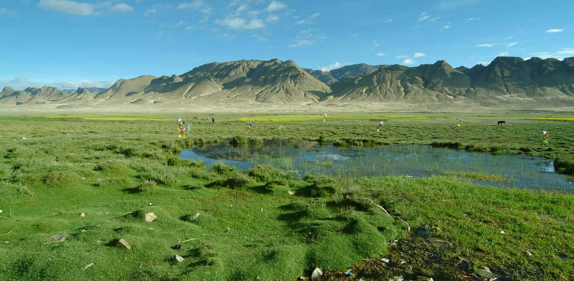 Tingri