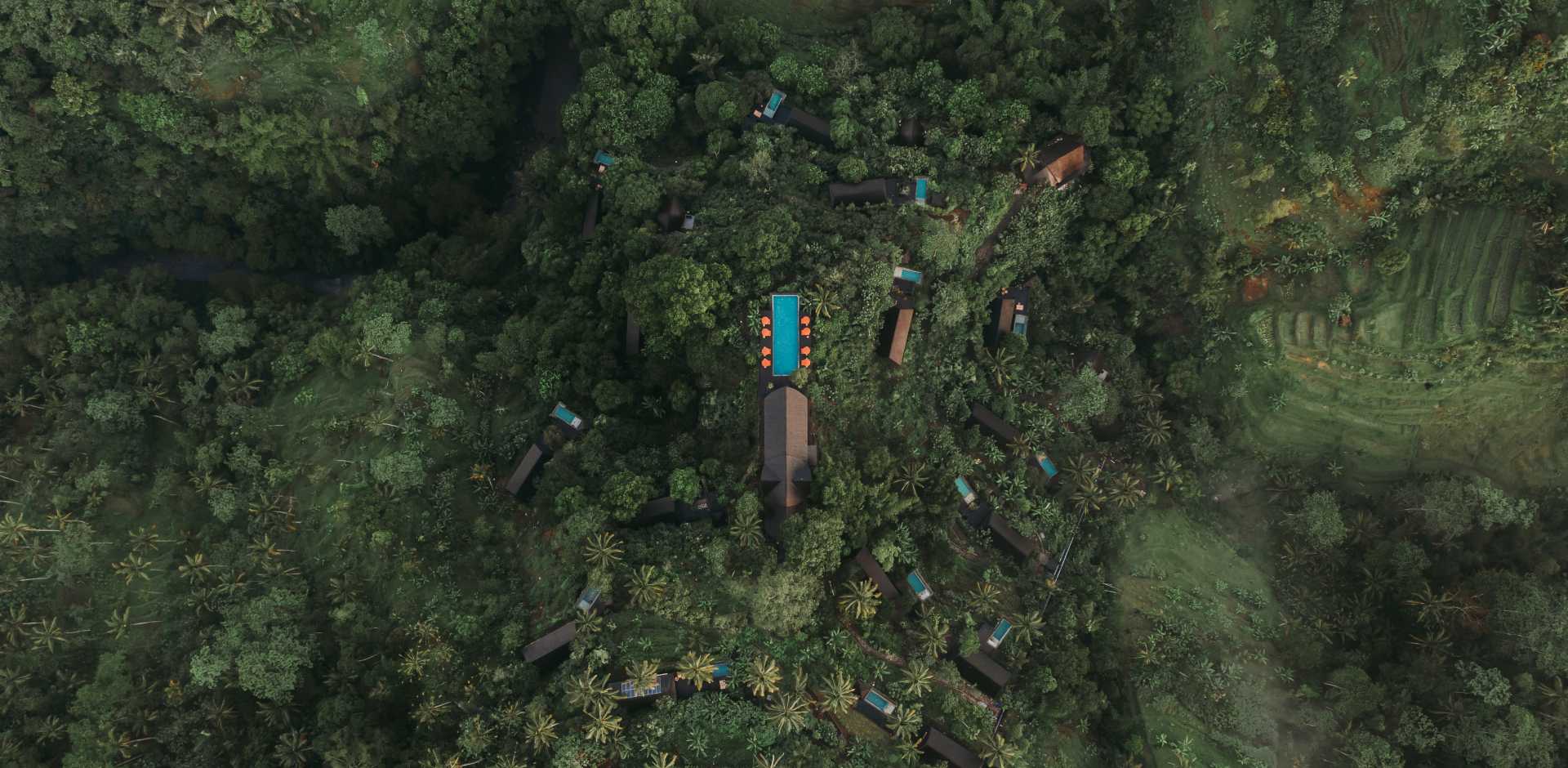 Buahan, A Banyan Tree Escape